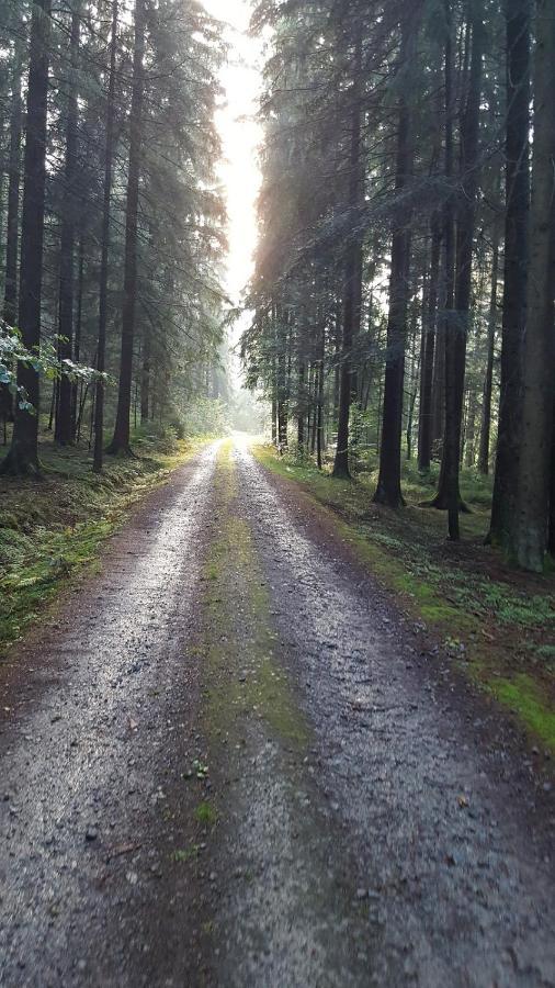 Ferienwohnung Am Kirchberg Achslach المظهر الخارجي الصورة