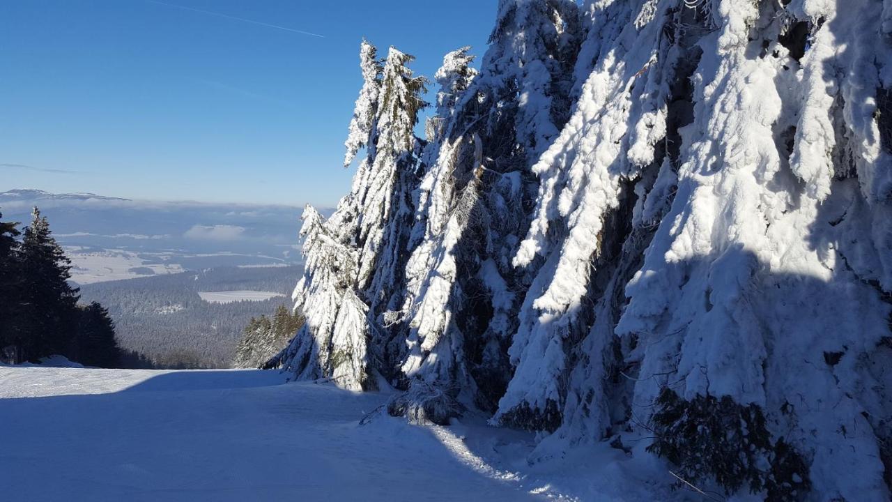 Ferienwohnung Am Kirchberg Achslach المظهر الخارجي الصورة